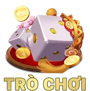 Trách nhiệm vận hành dịch vụ và bảo vệ người dùng f83